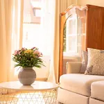 Dvorak *